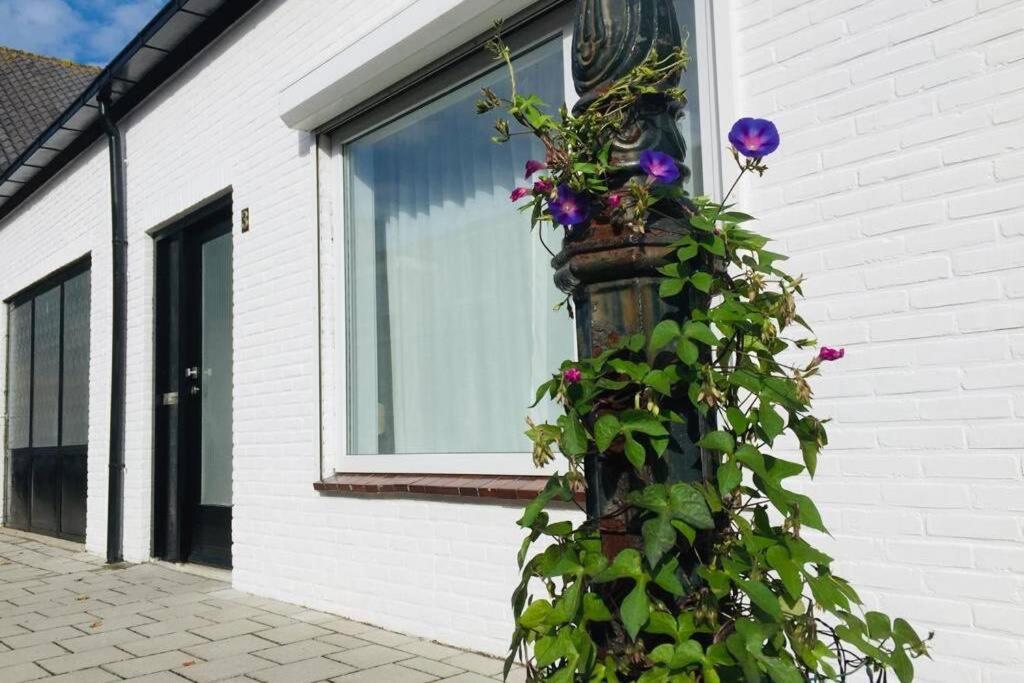 Vakantiehuis Vlakbij Het Strand En Natuur Villa Biervliet Exterior foto